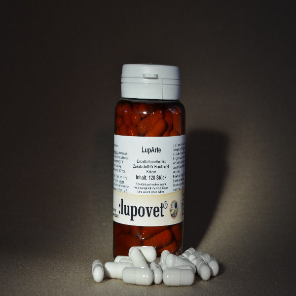 LupArte - Artemisia Annua Extrakt 30:1